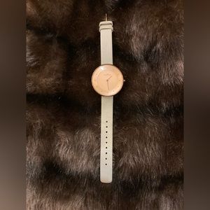 Skagen Watch